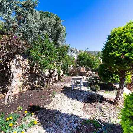 Mira Kalkan -close To Center- Villa Kas