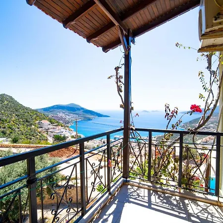 Mira Kalkan -close To Center-